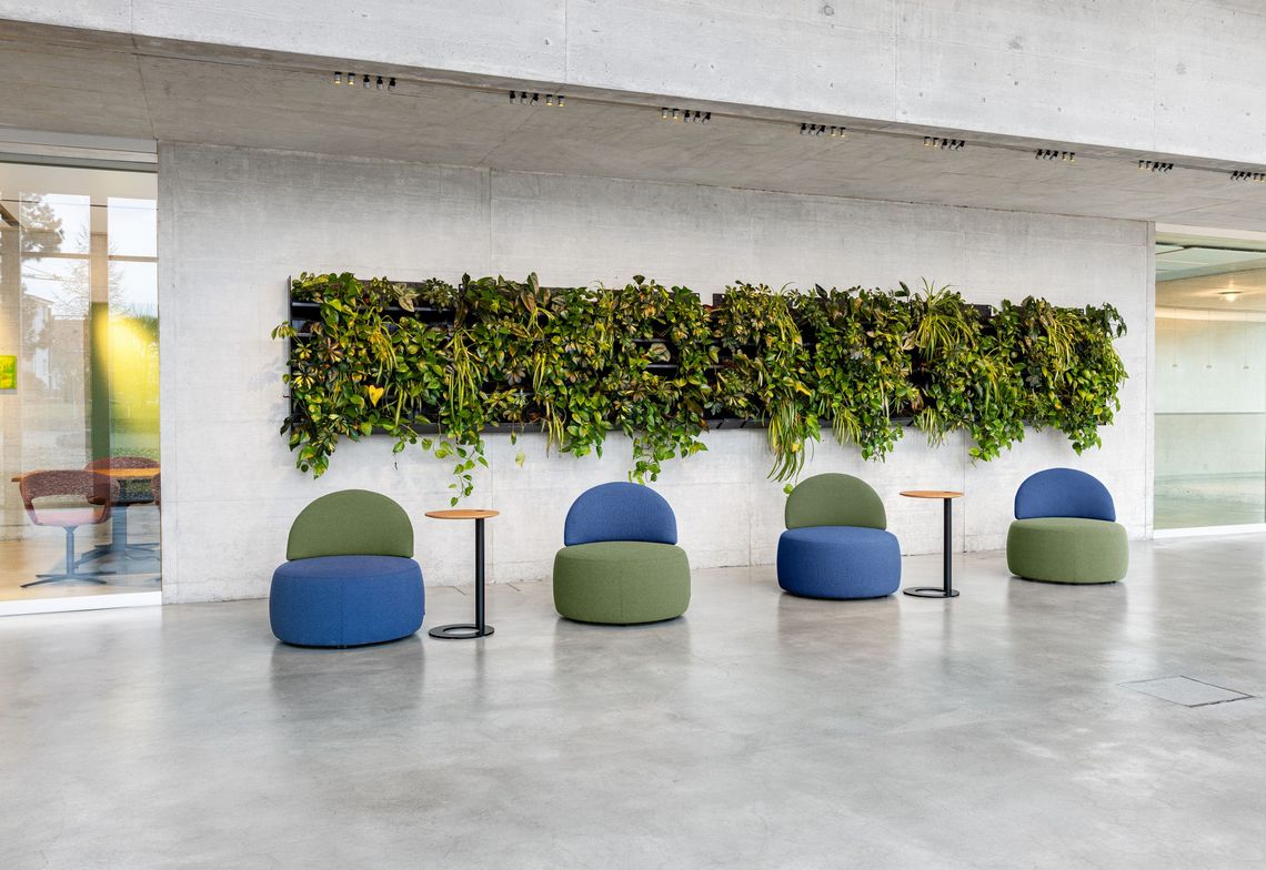 Poufs mit Rückenlehne, in grün und blau gepolstert in einer Linie